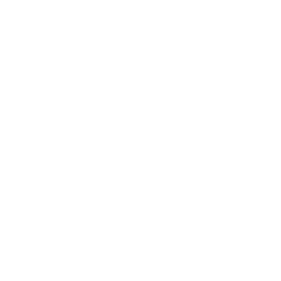 rating Icon