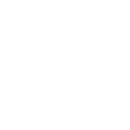 security Icon