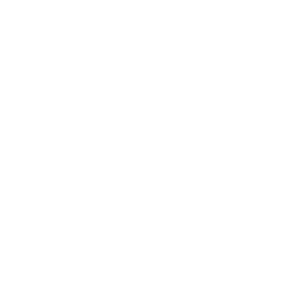 sight Icon